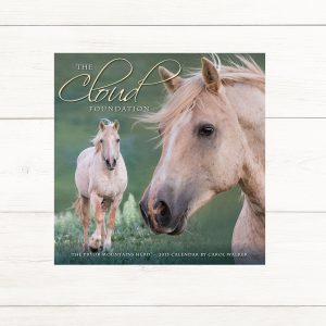 Wall Calendar 2015 for the Cloud Foundation