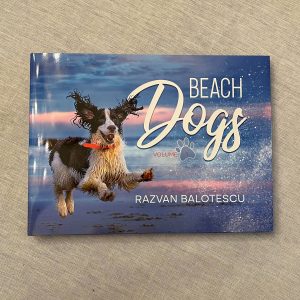 Beach Dogs