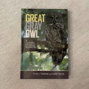 Great Gray Owl