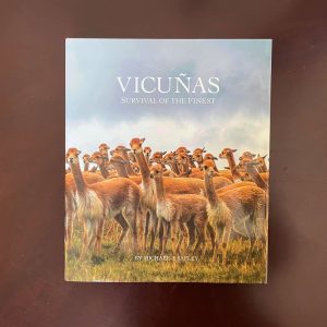 Vicunas - Survival of the Finest
