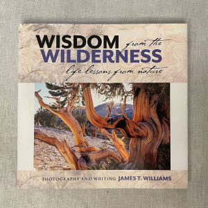 Wisdom from the Wilderness