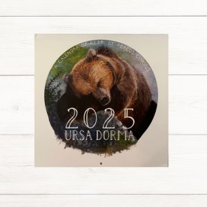Ursa Dorma wall calendar 2025